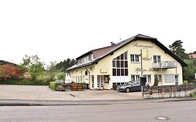Hotel Pfaelzer Stuben  2*